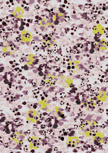 碎花图案布料纹理展示