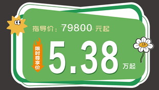 汽车春天车顶牌