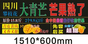 四川大青芒 芒果熟啦