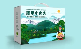 小白杏库车轮台小白杏新疆吊干杏