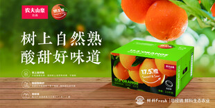 树上自然熟的酸甜橙子