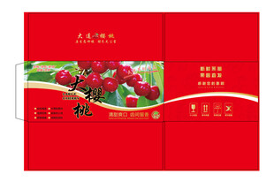 红色喜庆枸杞包装设计