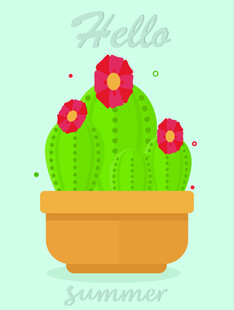 盆栽仙人掌绽放艳丽花朵