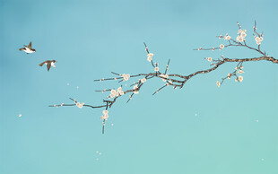 新中式工笔花鸟梅花背景墙装饰画