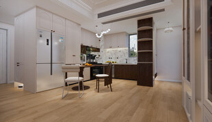 法式开放式厨房