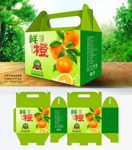 橙子包装 鲜橙礼盒