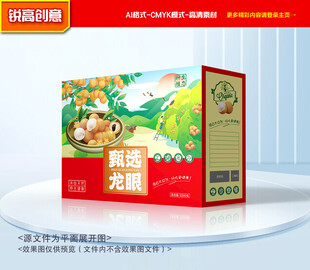 龙眼包装 桂圆礼盒