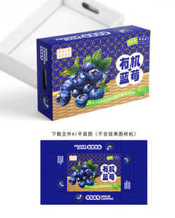 蓝莓包装