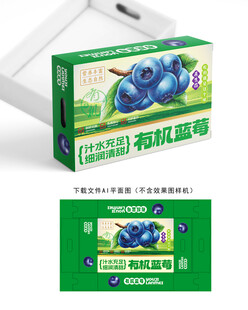 蓝莓包装