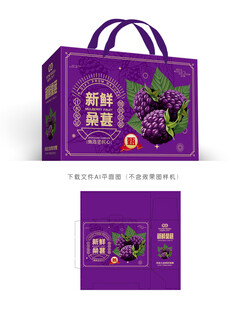 桑葚包装 