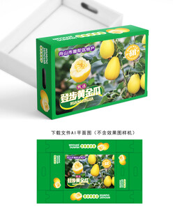 登步黄金瓜设计