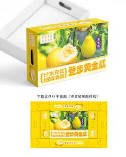 黄金瓜包装 