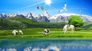 高原雪山草地牧场