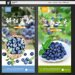 蓝莓