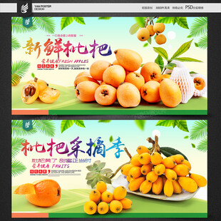 枇杷海报