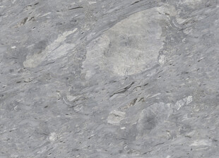 灰色纹理石材表面特写