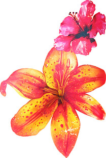 艳丽百合与娇艳花朵