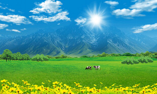 蓝天白云大草原