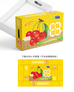 樱桃包装 