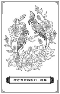 花鸟图案黑白插画设计