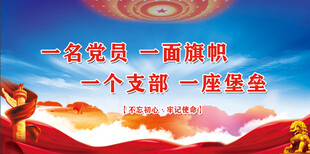 党建