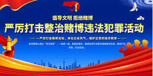严厉打击整治网络违法活动展板