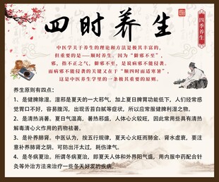 中医理疗馆保健沐足四时养生海报