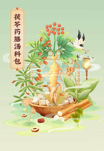 药膳汤包装  中医插画中药大全