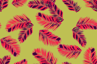 热带风叶片图案背景图