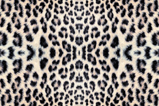 豹纹图案纹理背景图