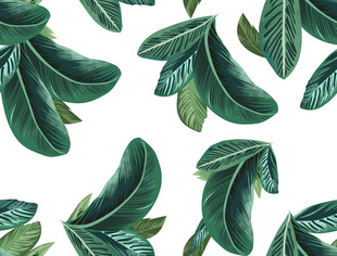 手绘绿色叶片图案背景