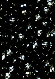 黑色背景上的白色小花图案