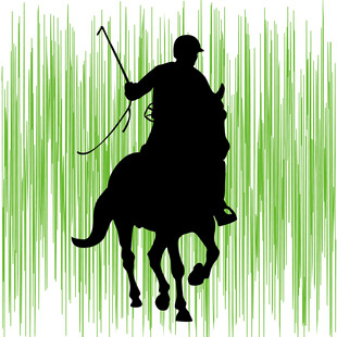 骑手策马英姿剪影