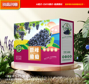 葡萄包装 巨峰礼盒