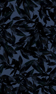 深色树叶图案纹理背景