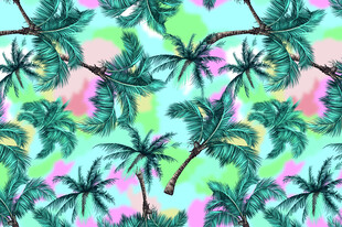 热带棕榈叶多彩图案