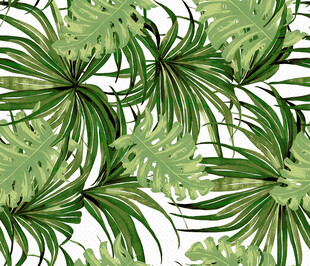 热带绿植图案背景纹理