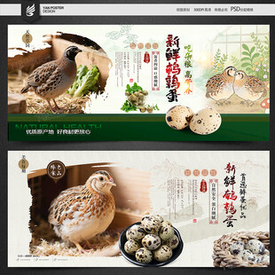 鹌鹑蛋