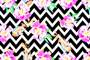 黑白底花卉几何图案设计