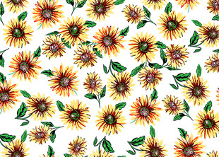 向日葵花卉图案背景图