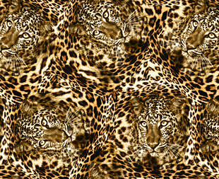 豹纹图案纹理背景图