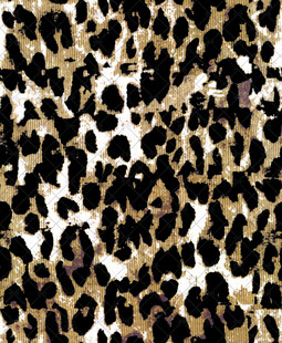 豹纹图案纹理