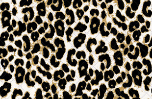 豹纹图案纹理背景图