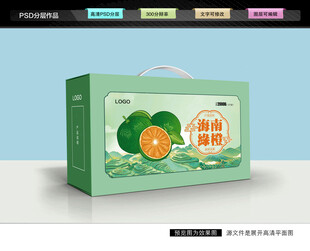 海南绿橙包装