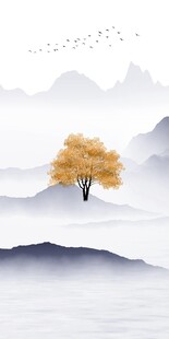 大气 新传高端玄关 TiF分层