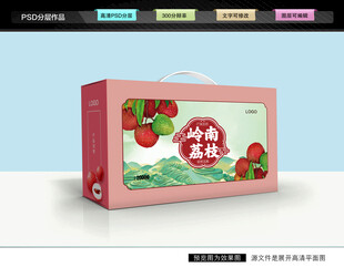 荔枝礼盒 妃子笑包装