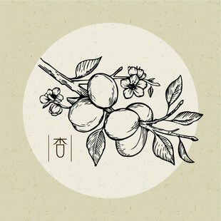 矢量杏花枝头图