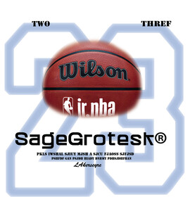 威尔胜NBA联名篮球
