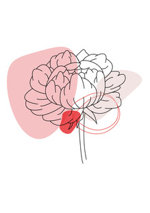 简约线条勾勒的柔美矢量花卉
