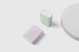 手帕纸 纸巾样机